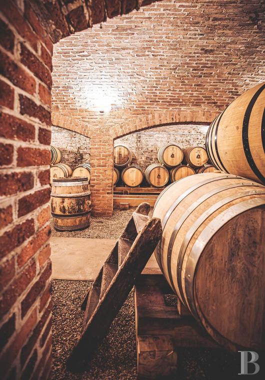 En Bourgogne, à Beaune, un château de la Belle Époque au milieu de ses huit hectares de vignes - photo  n°41